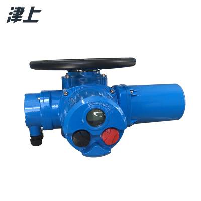 天津厂家供应 伯纳德 工业总线型电动执行器 DZW15 智能远控断电保护图2