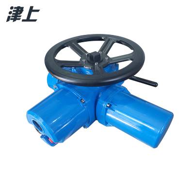 天津厂家供应 伯纳德 工业总线型电动执行器 DZW15 智能远控断电保护图3