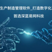 广东深蓝易网信息科技有限公司