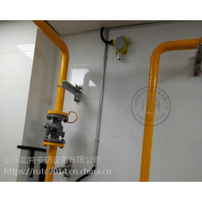 工业智能型甲烷天然气气体浓度报警系统