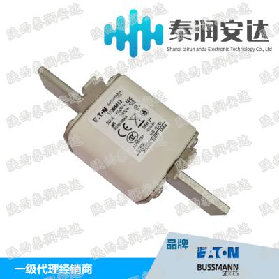 bussmann 西熔 通信熔断器 NT421010002图2