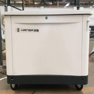 通信基站维护用10千瓦汽油发电机图2