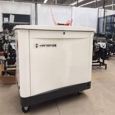 通信基站维护用10千瓦汽油发电机图3