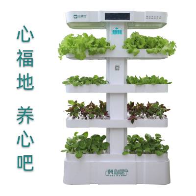 水培种植高钙养心菜室内空气净化杀菌消毒负氧离子哦智能种菜家居设备招商