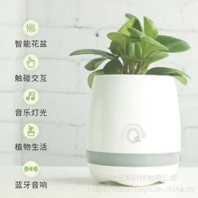 ***2017Qplant-1s智能音乐花盆 蓝牙音箱 送礼 办公室家居咖啡厅