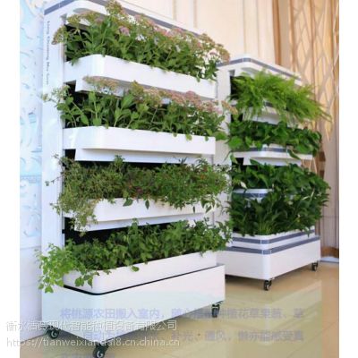 现代智能水培设备智能蔬菜种植机净化器无土栽培设备家居摆设图2