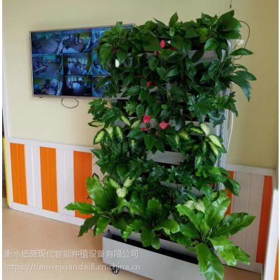 现代智能水培设备智能蔬菜种植机净化器无土栽培设备家居摆设图3