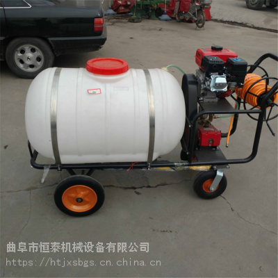 自动收管打药机 恒泰新式电启动农用高压喷雾器 智能遥控果树喷药机***图2