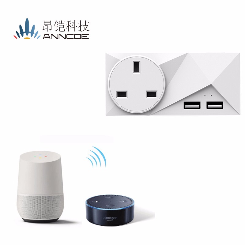 ANNCOE C318 智能wifi插座 USB插座 支持Alexa Google home 语音开关智能家居插图3