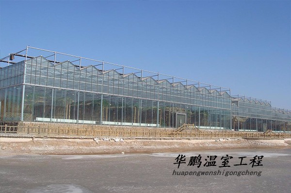 冬暖式大棚观光温室 农业大棚蔬菜大棚温室大棚 拱棚蔬菜大棚建设建造  连栋温室大棚 智能温室温室骨架制造 淄博图2