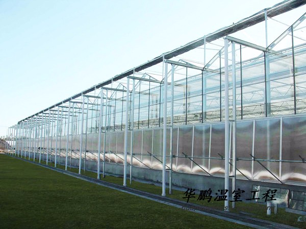 冬暖式大棚观光温室 农业大棚蔬菜大棚温室大棚 拱棚蔬菜大棚建设建造  连栋温室大棚 智能温室温室骨架制造 淄博图1
