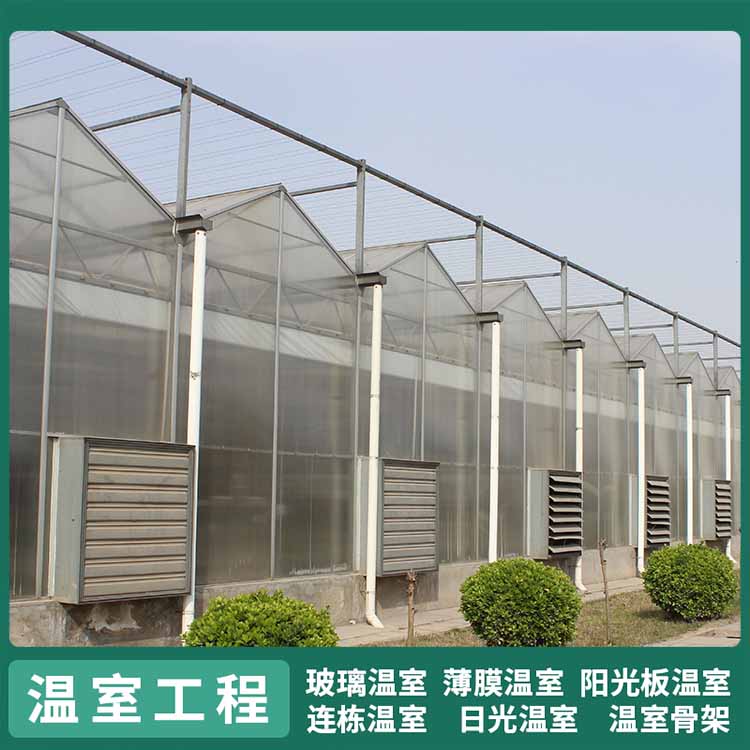 农业种植阳光板温室 中禾 智能温控日光大棚价格图2