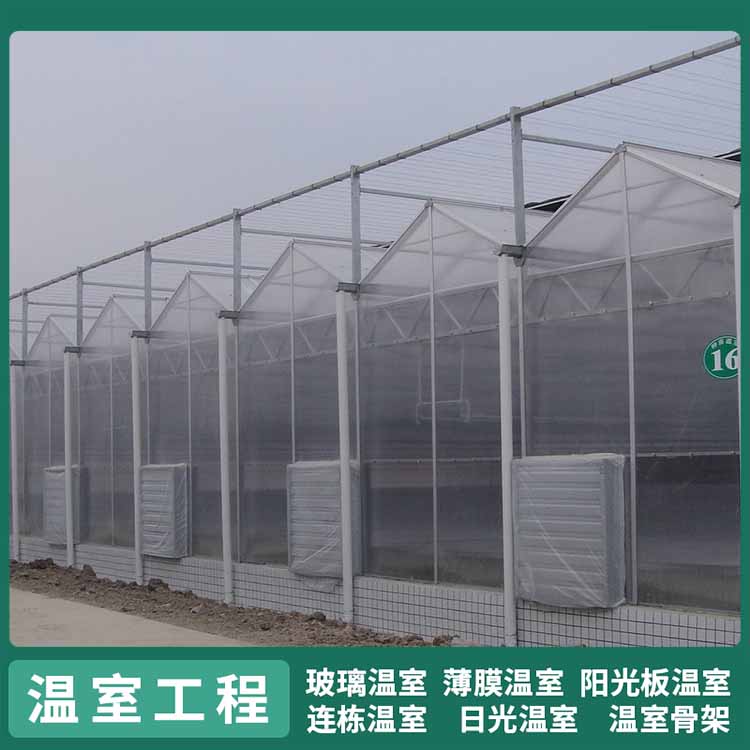 农业种植阳光板温室 中禾 智能温控日光大棚价格图1