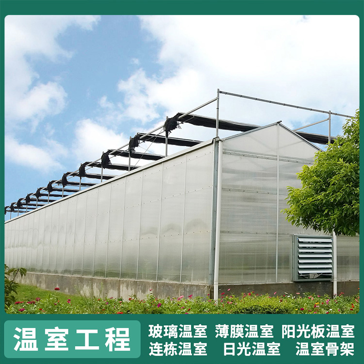 农业种植阳光板温室 中禾 智能温控日光大棚价格图3