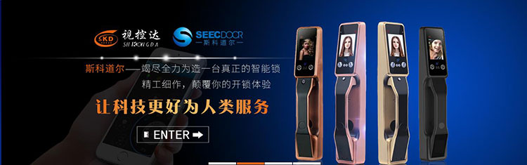 斯科道尔智能锁智能锁厂家电子智能安全门锁智能锁配件国际智能锁防盗门锁指纹密码锁图3