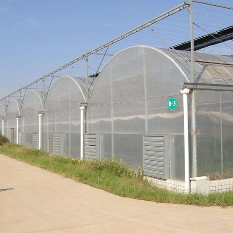 连栋智能温室大棚 六安蘑菇大棚扁管图1
