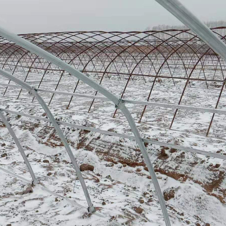 连栋智能温室大棚 六安蘑菇大棚扁管图2