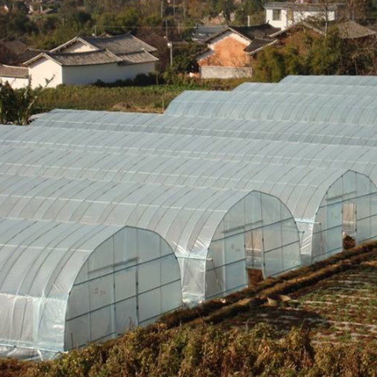 连栋智能温室大棚 六安蘑菇大棚扁管图3