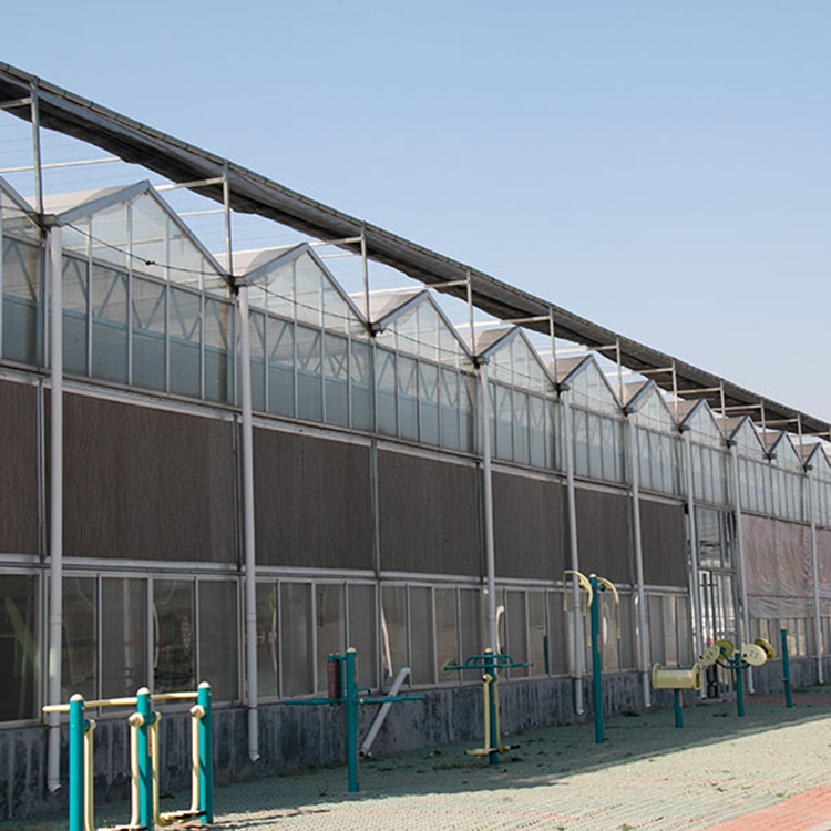 搭建智能温室 中禾 连栋智能温室 智能温室厂家图2
