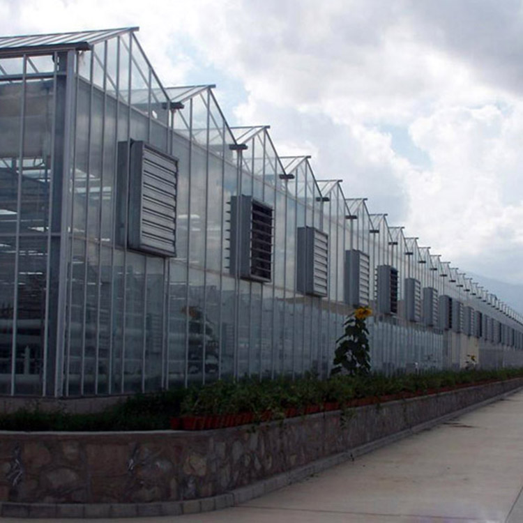 搭建智能温室 中禾 连栋智能温室 智能温室厂家图3