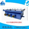 KJJ127隔爆型网络交换机厂家  KJJ127隔爆型网络交换机销售图2