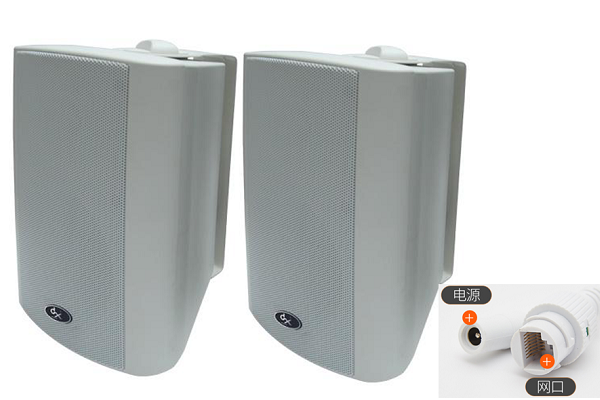 天声TS-IP20 壁挂式IP网络音频解码主音箱 网络ip广播音箱 广播ip音箱 公共广播音箱 公共广播厂家图3