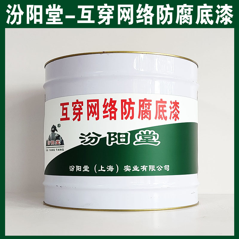 互穿网络防腐底漆，汾阳堂，互穿网络防腐底漆，干性快，和漆类附着力好！图2