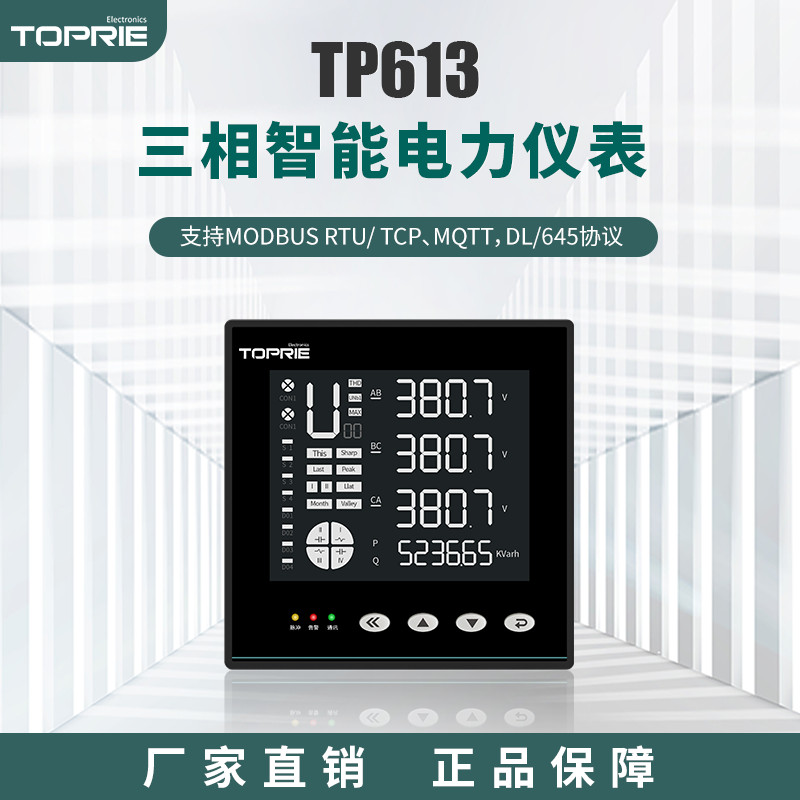 【拓普瑞】TP613电表智能电表 多功能智能电表 智能电表批发厂家直供图2