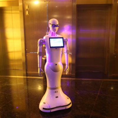 智能人形小澳机器人结构 智能人形小澳机器人 智能人形小澳机器人规格