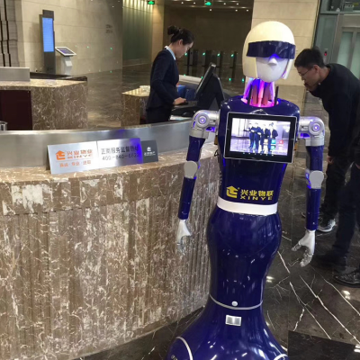 智能人形蓝豆机器人 智能人形机器人适用范围
