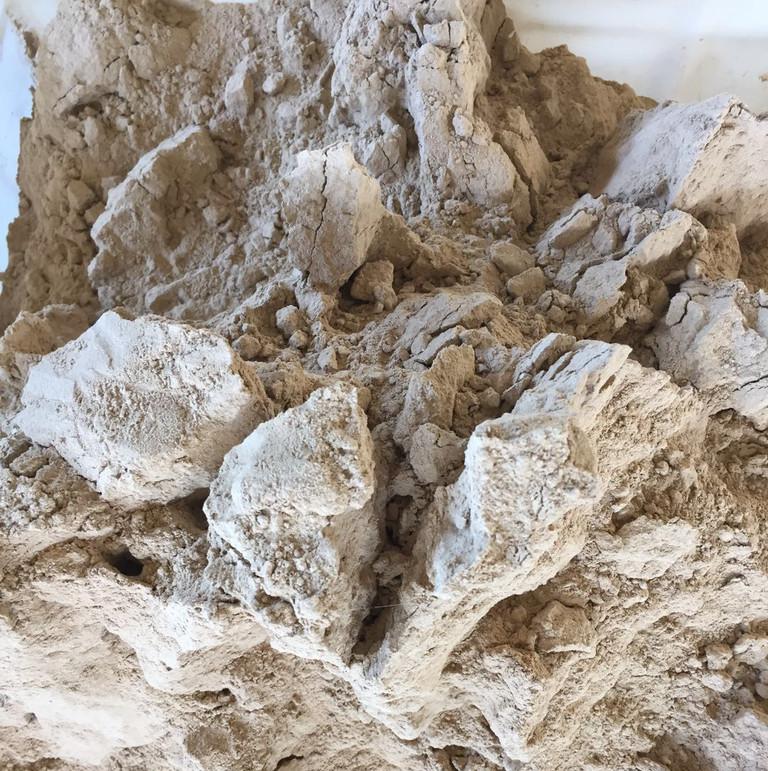 EM菌农业水产养殖 高含量 现货供应图2