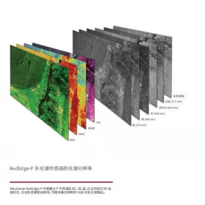 进口RedEdge-MX BLu农业双光相机