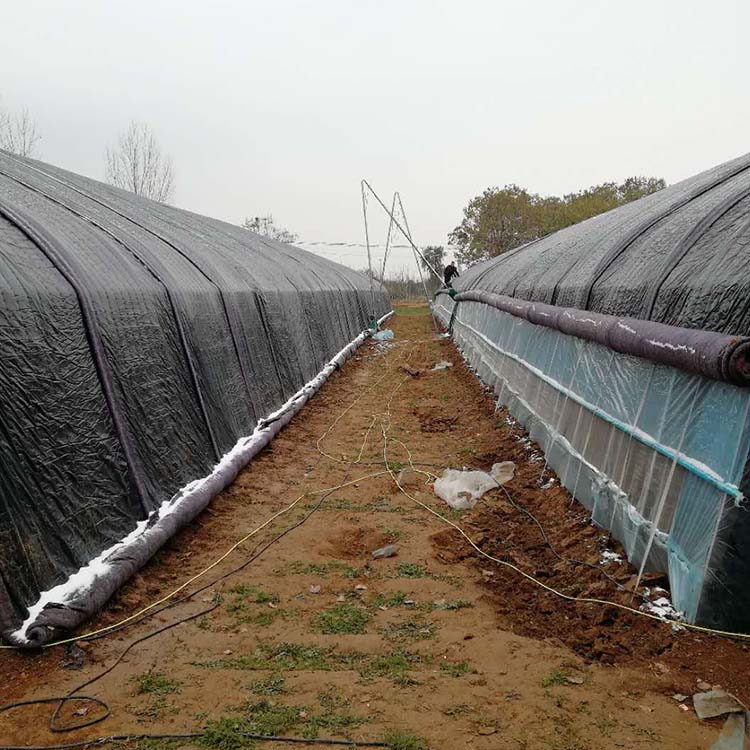 农创  农业菌类大棚 常年供应图3