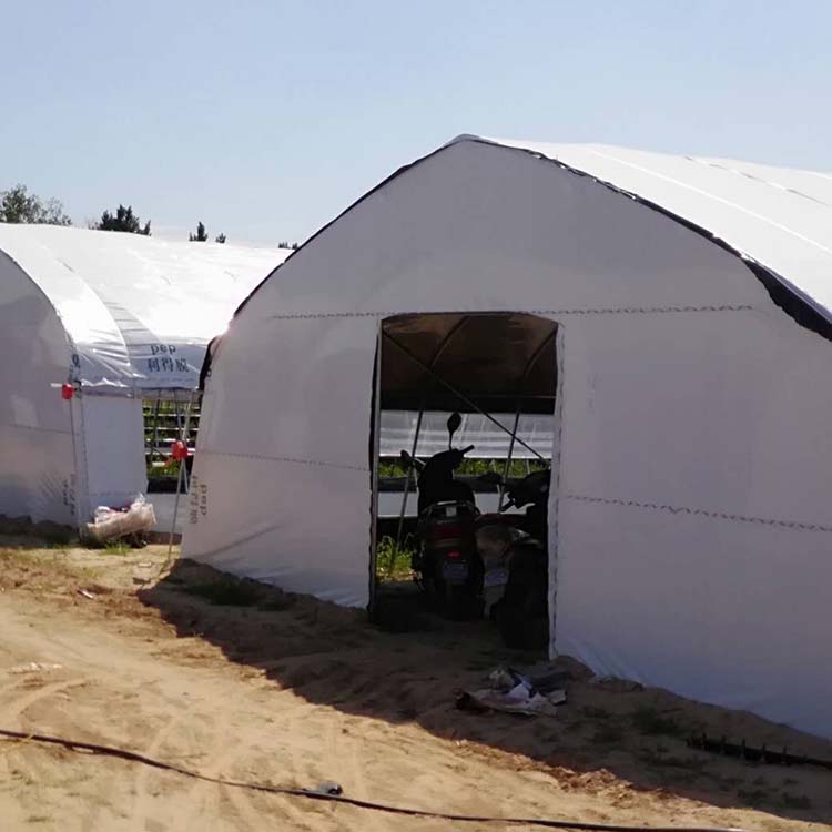 农创  农业菌类大棚 常年供应图1