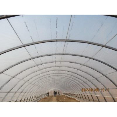 天津恒浩 农业大棚   同时提供免费设计 加工 安装 农业大棚