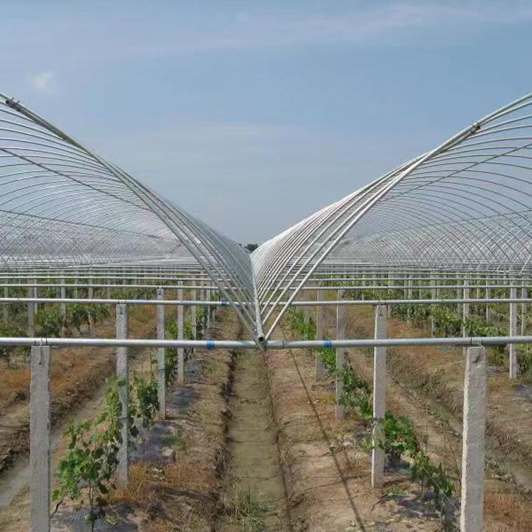 农业大棚管 襄樊养殖大棚设计图2