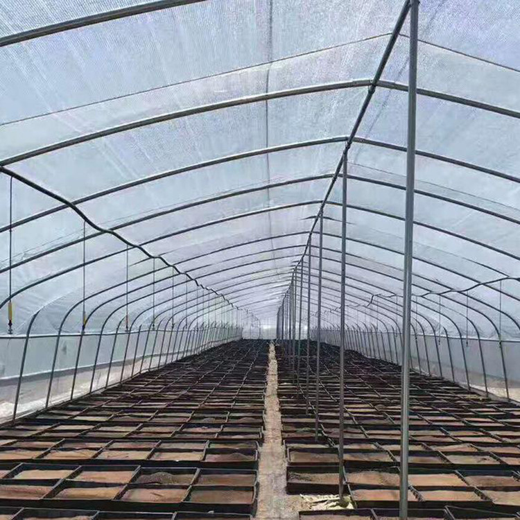 农业大棚管   广东养殖棚建设 大棚温室图1