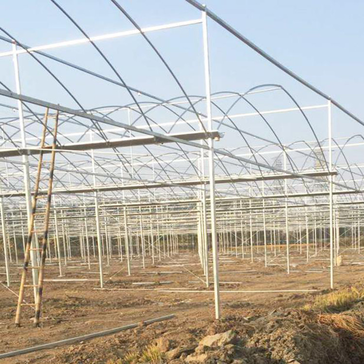农业大棚管   广东养殖棚建设 大棚温室图3
