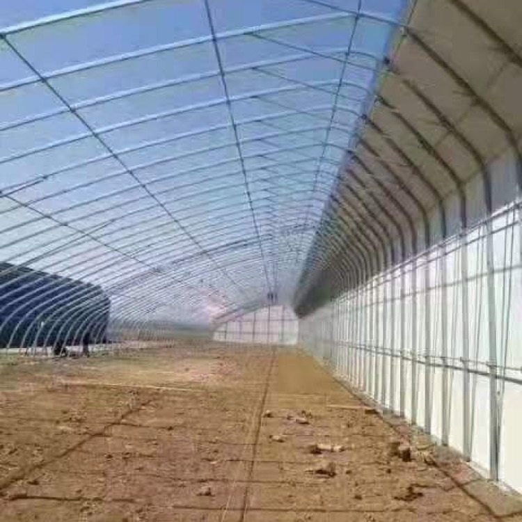 农业大棚管 安徽 天津大棚扁管厂家蔬菜大棚建设图2