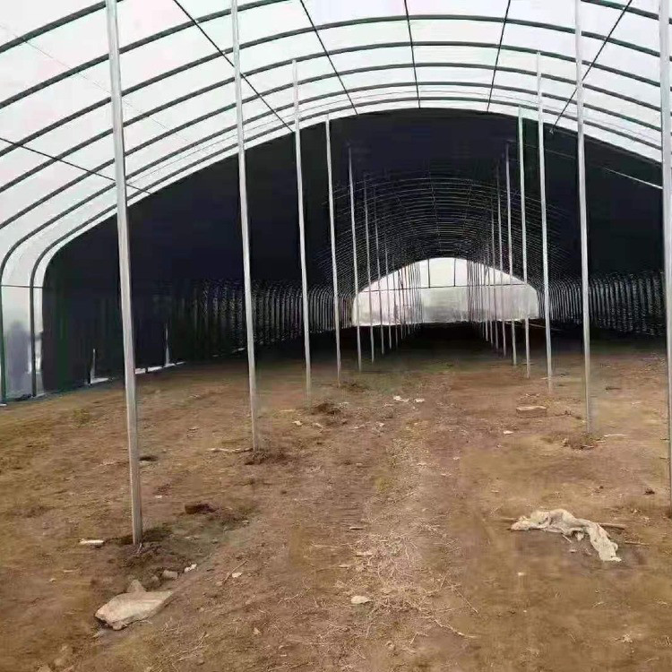 农业大棚管 安徽 天津大棚扁管厂家蔬菜大棚建设图1