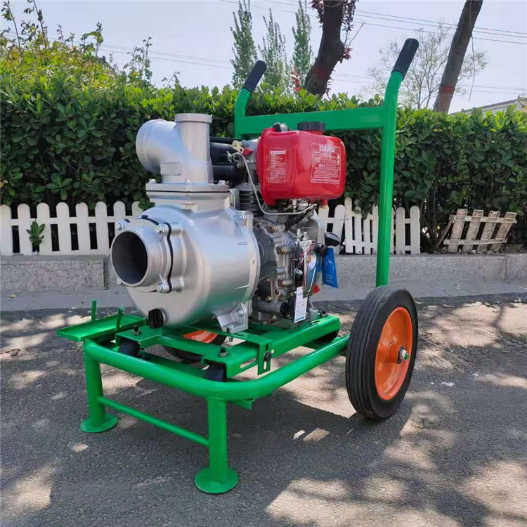 金明汽油泵农业灌溉泵轻便省力图2