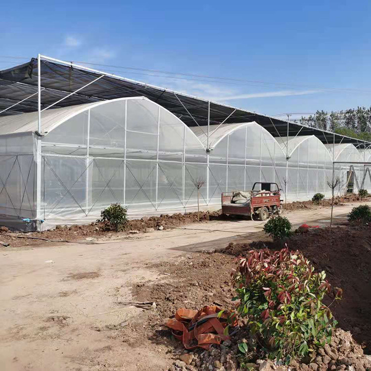 农业大棚管 山西休闲大棚 养殖大棚图2