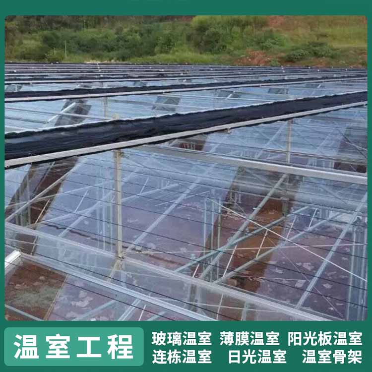 中禾 农业种植阳光板温室 智能温控日光大棚价格图1