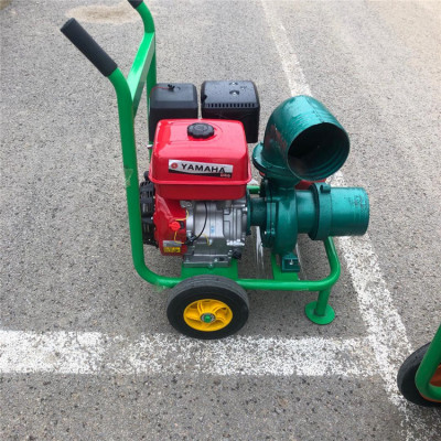 民乐县城市排污移动小泵车物美价廉