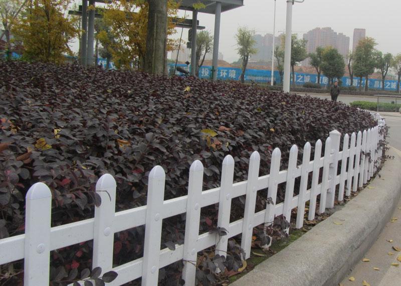 项城市草坪围栏,项城市草坪围栏求购图2