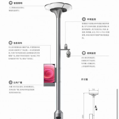 润驰SLED-012 智慧路灯