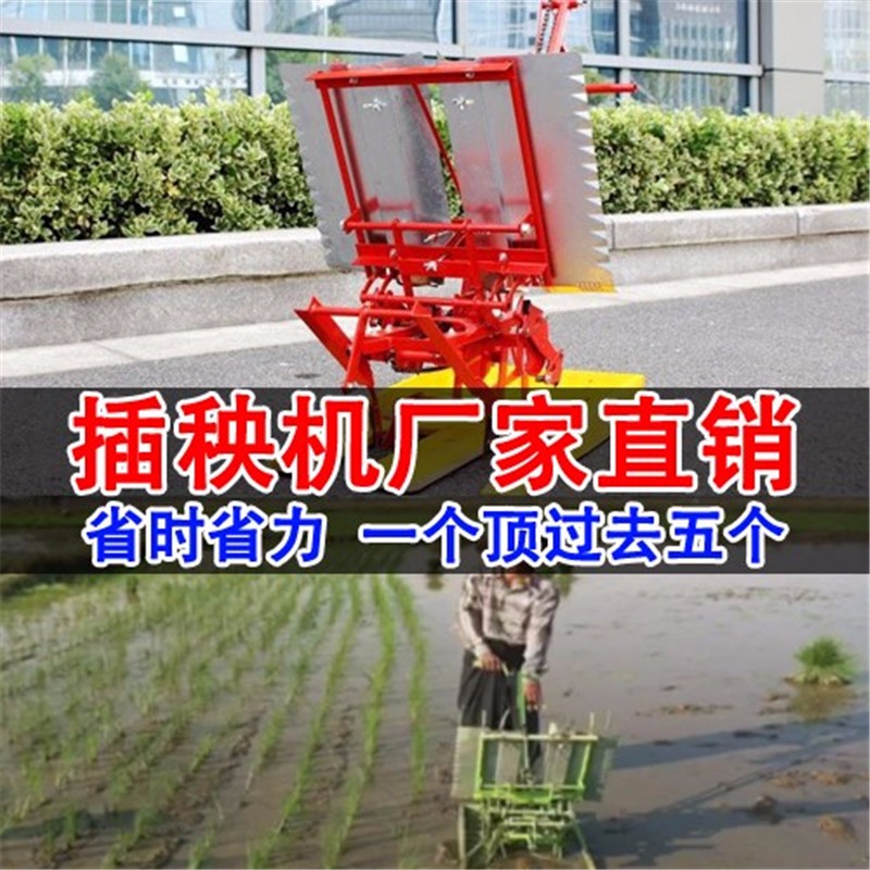 简单省人工水稻育秧机 人工育秧水稻种植机 人工育秧水稻种植机图3