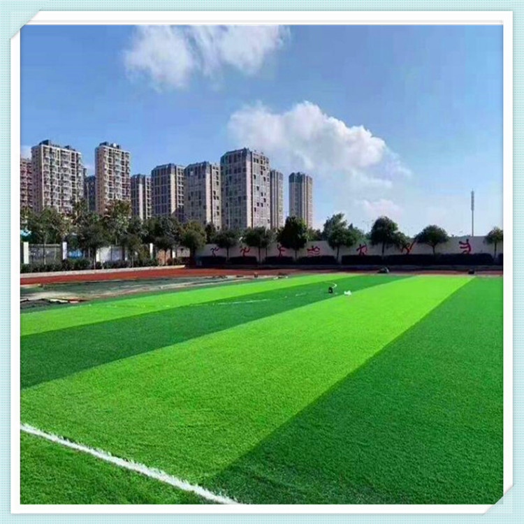 白城 学校操场人工草皮 运动场仿真草 幼儿园人工草图3