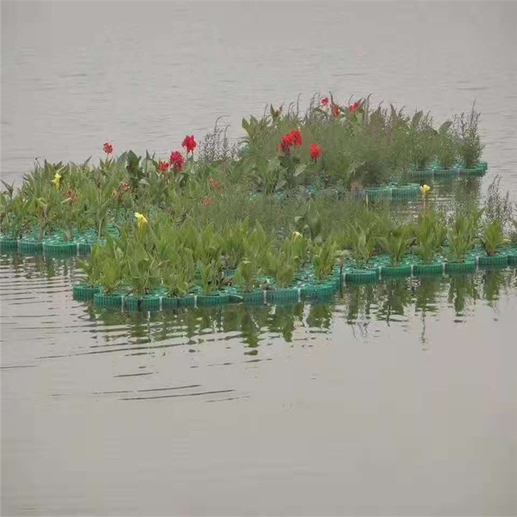 人工浮岛 人工 人工浮岛 人工人工降雨 厂家,品种齐全图2
