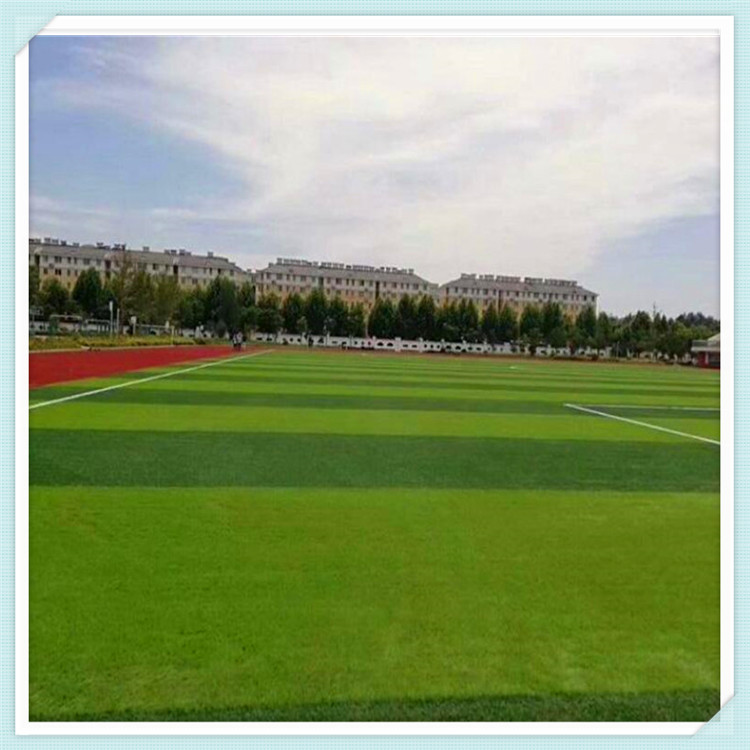 辽源 足球门场人工草皮 人造足球场草皮 幼儿园人工草图3